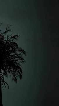 Silhouette of a tree and lightning