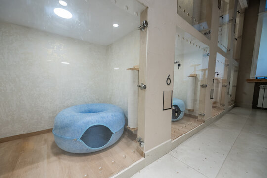 An empty cat hotel. Individual rooms with glass doors.