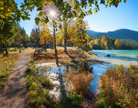 recreational area lake Walchensee, Jachenau. autumnal scenery with colorful trees. bavaria