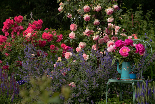 Peonies Bouquet in Vintage pitcher in the rose garden