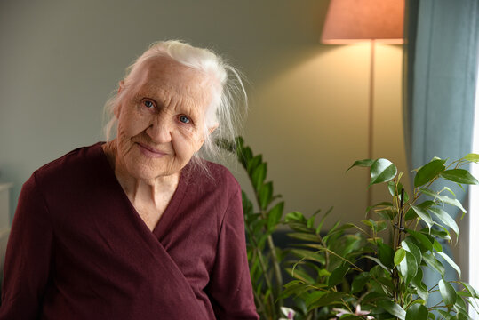 ​Serene Elderly Woman Smiling in a Warm Cozy Interior with Houseplants