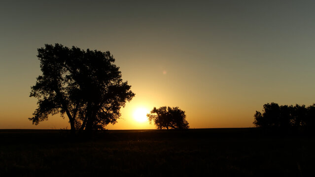 Golden Sunrise over Prairie with Tree Silhouettes