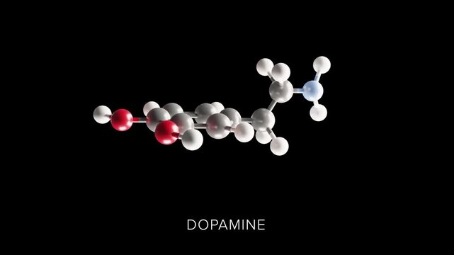 Dopamine Molecule 3D Model Rotating on Black Background
