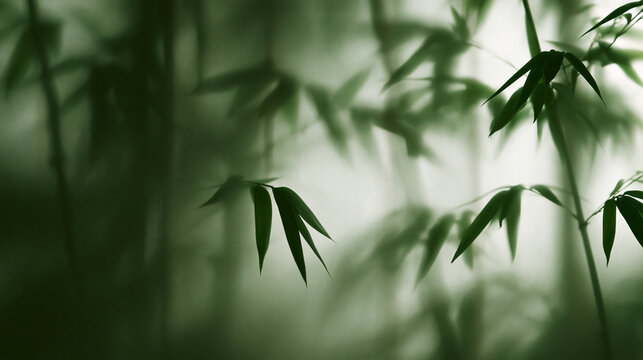 Bamboo Leaves in Misty Green Forest Atmosphere