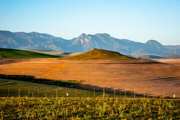 Fototapeta premium A big farm during sunrise in Heidelberg South-Africa