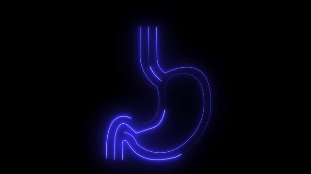 Neon Stomach Icon &ndash; Digestive System and Health acid reflux concept ulcer problem digestion process human anatomy icon Concept.Motion graphics of concept