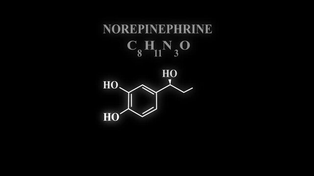 Norepinephrine or NE also called noradrenaline or NA or noradrenalin Molecular Structure Symbol Neon Animation on black background. glowing Noradrenaline, Nora, Norad Chemical Formula Structure...