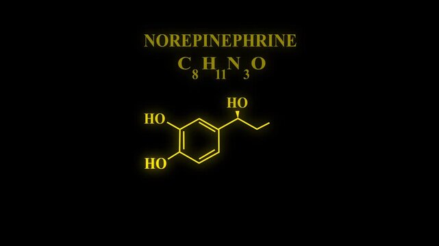 Norepinephrine or NE also called noradrenaline or NA or noradrenalin Molecular Structure Symbol Neon Animation on black background. glowing Noradrenaline, Nora, Norad Chemical Formula Structure...