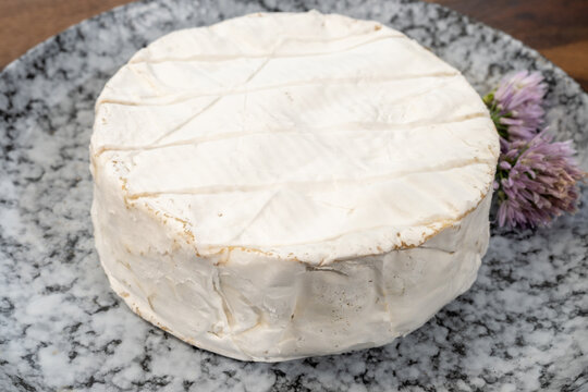 Camembert, French soft-ripened cheese from Normandy, with white mold rind and creamy golden interior that develops rich, earthy flavors when aged