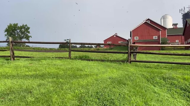 Side view driving past red barns and green pasture in New England