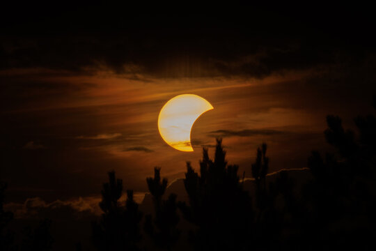 Partial solar eclipse over dark tree silhouettes during sunset sky