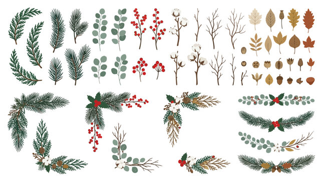Winter Botanical Collection Christmas Greenery Pine Berries Floral Borders