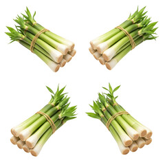 Fototapeta premium fresh green asparagus