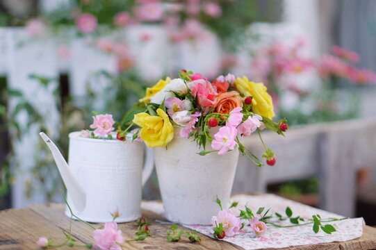 flowers in a pot