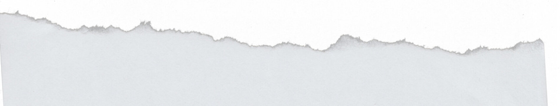 Ripped torn paper edge isolated on transparent background PNG