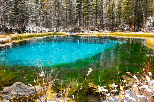 Geyser lake with turquoise water in Altai mountains, Siberia, Russia. Autumn forest with snow on the shore of lake.