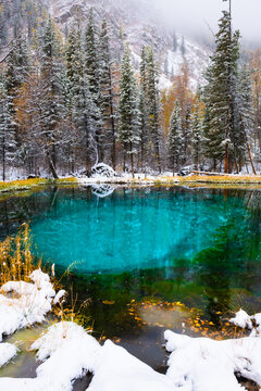 Geyser lake with turquoise water in Altai mountains, Siberia, Russia. Autumn forest on the shore of lake during snowfall.