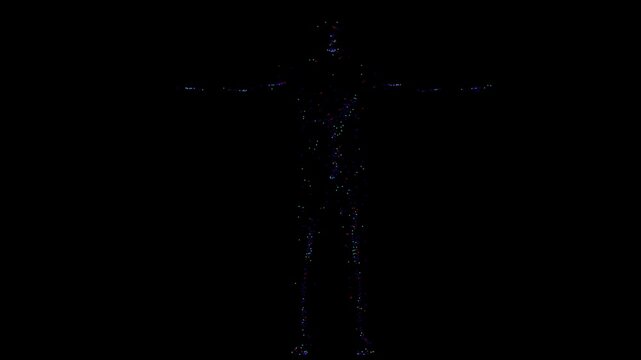a Digital Data Man with connection on the surface of the body