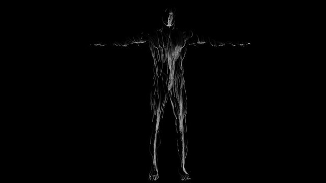 a Digital Data Man with connection on the surface of the body