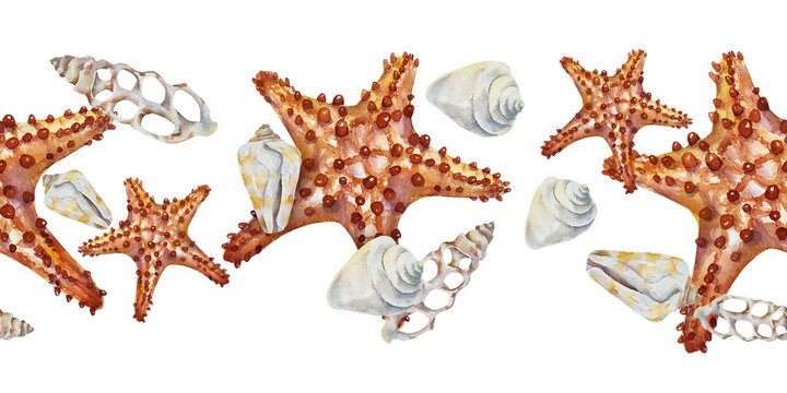 Watercolor seamless border with starfish, seashells and marine treasures in a realistic coastal style. Illustration for fabric, wallpaper, wrapping paper, stationery, branding and beach decor.