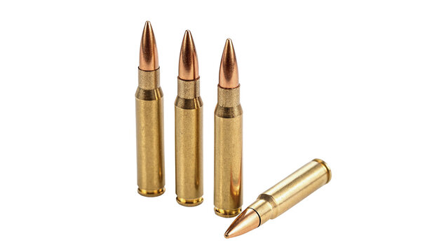 Four brass metallic military bullet rifle ammunition cartridges isolated on transparent background