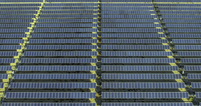 Aerial view of a large utility-scale photovoltaic solar farm with thousands of solar panels in long, closely spaced rows across the landscape in Antelope, California, United States.