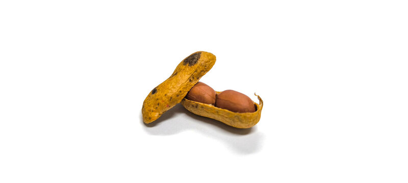 A peanut with its shell partially removed. revealing two brown seeds inside.