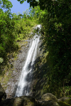 Tall slender waterfall pours down a mossy volcanic rock face framed by tropical rainforest foliage and boulders in Manoa Valley on O'ahu, Hawaii.