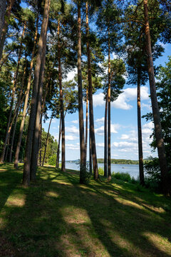 Scenic Brombachsee Lake on a Sunny Summer Day