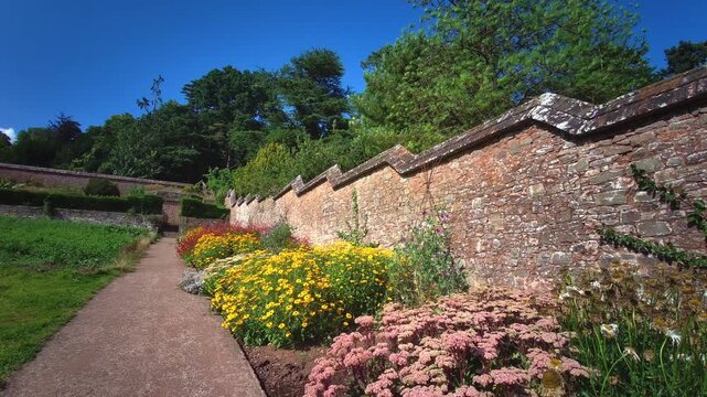 Bright summer flowers bloom along a traditional stepped stone wall inside the historic kitchen garden at Knightshayes Court in Tiverton, Devon, United Kingdom, filmed on 24.08.2024