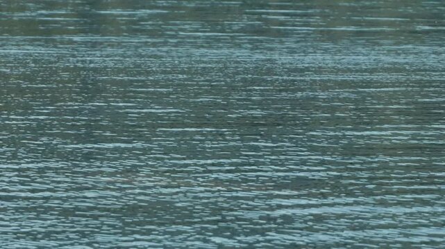 Complex ripples and flowing patterns on the water surface

