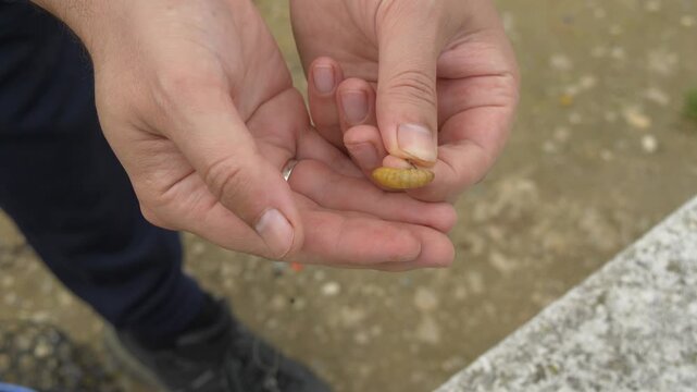 Fisherman holding live bait larva in hands