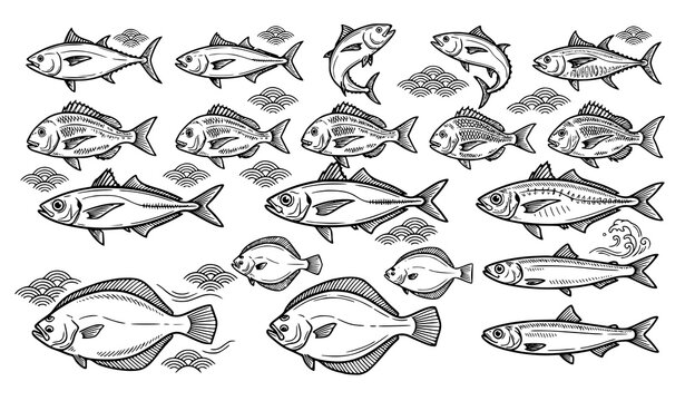 Vintage Japanese Seafood Sketch Icon Set with Flounder Tuna Sea Bream and Mackerel with Traditional Wave and Cloud Patterns for Sushi Restaurant Menu Designs
