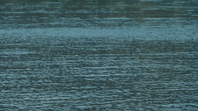 Complex ripples and flowing patterns on the water surface
