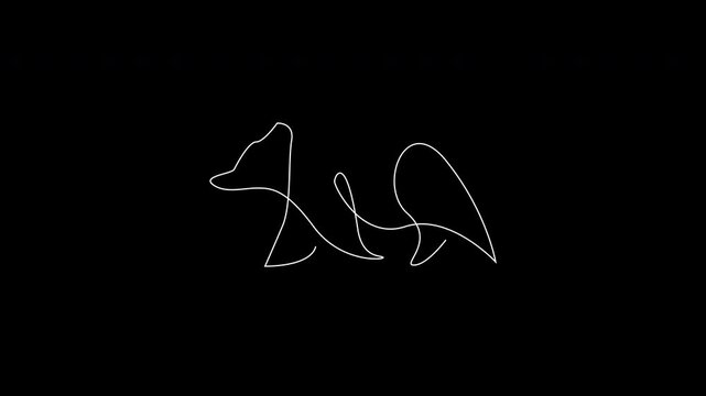 One line contour animation of a polar bear
