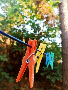 clothespins on rope