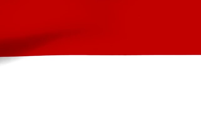 Waving fabric texture with a bold red stripe over a clean white background