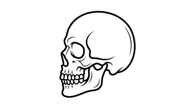 Minimalist skull side profile line art.