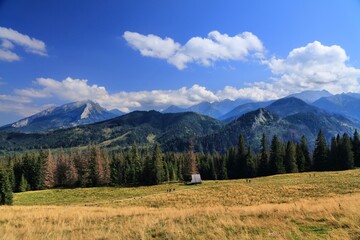 Tatra mountains in Poland. Mountain view from Rusinowa Polana. September sunny day. © Tupungato