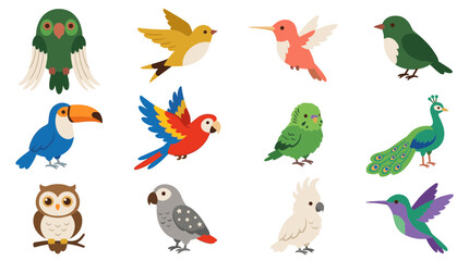 Obraz premium Diverse species of wild and exotic birds vector set featuring owl parrot peacock and hummingbird