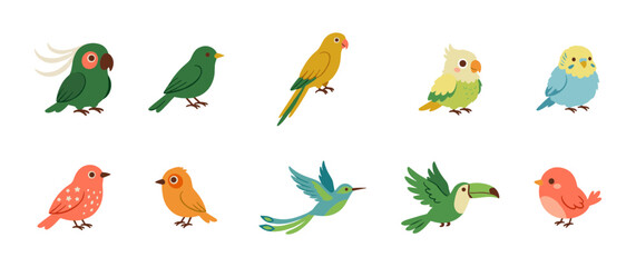 Fototapeta premium Colorful tropical birds illustration collection with parrot cockatoo toucan and hummingbird vector