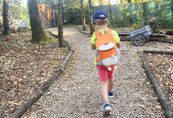 Obraz premium child walking along forest path with backpack and water bottle, rear view of family outdoor adventure in natural setting with orange and blue tones, exploring nature together.