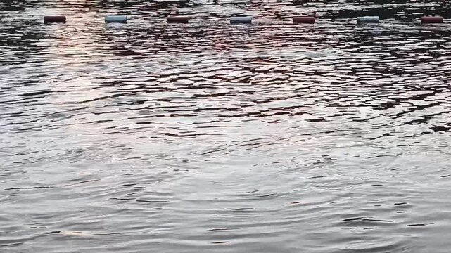 High angle close up of dark murky water with shimmering light reflections and textured ripples. Red and white floating buoys visible at the upper edge.