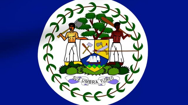 Waving flag of Belize featuring the official national coat of arms against a solid blue background