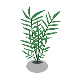 Fototapeta premium Potted green indoor palm plant in grey pot digital illustration isolated on transparent background