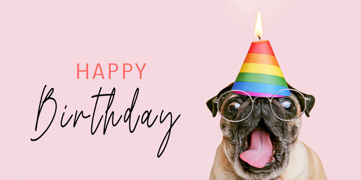 Funny Animal &ndash; Happy Birthday greeting card with text &ndash; pug dog with a party hat and candle, isolated on a pink background