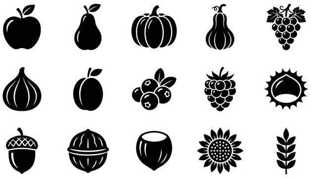 Set of black silhouette farm harvest produce icons featuring fruits nuts and autumn vegetables vegetable hazelnut sunflower agriculture nutrition vegetarian collection