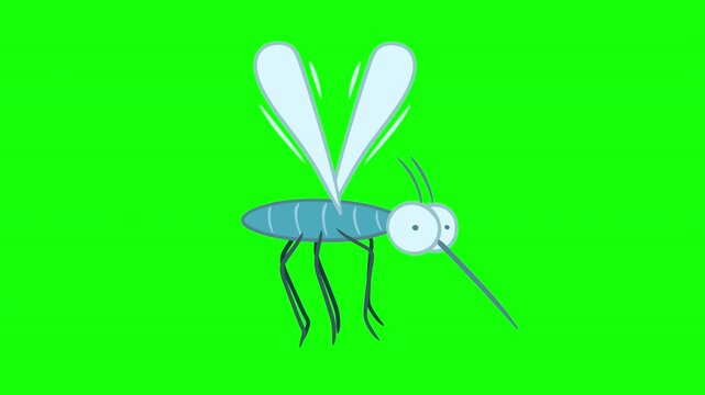 Cute 2D cartoon blue mosquito flying in side view on green screen background. Animated insect character for repellent ads, hygiene awareness or medical graphics.