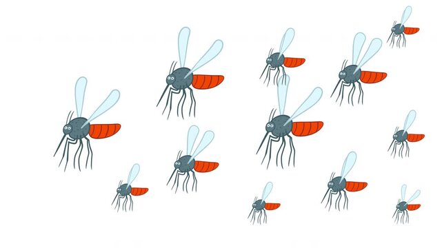 Swarm of cartoon mosquitoes with red abdomen flying isolated on white background. 2D animated pest cloud loop for virus protection, malaria awareness and repellent ads.
