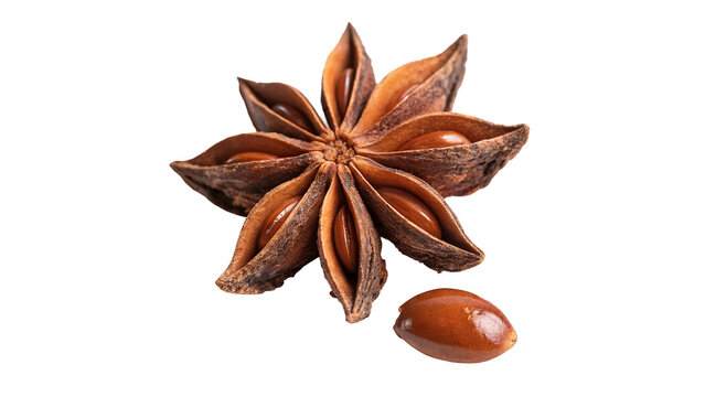 Dry whole star anise spice with seeds isolated on a white background organic ingredient